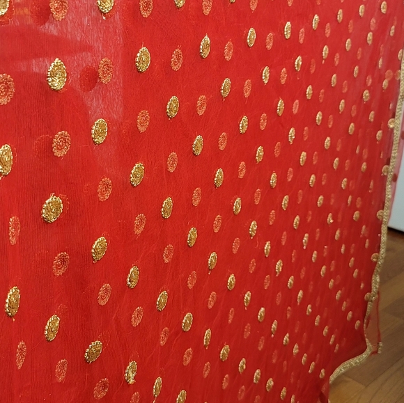 Indian Red Net Sari - Picture 4 of 6